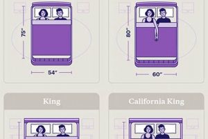 Finding the Best Mattress Size for Couples: A Guide + More | Organic & Natural Mattress Buyer’s Guide: Non-Toxic Sleep Solutions