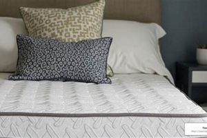 Top Tempurpedic Mattress for Back Pain Relief [Guide] | Organic & Natural Mattress Buyer’s Guide: Non-Toxic Sleep Solutions