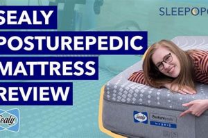 Finding the Best Sealy Mattress [2024 Guide] | Organic & Natural Mattress Buyer’s Guide: Non-Toxic Sleep Solutions