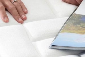 Find Your Best Mattress Quiz: Sleep Soundly Tonight! | Organic & Natural Mattress Buyer’s Guide: Non-Toxic Sleep Solutions