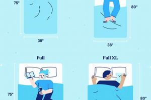 Twin XL vs Full: Which Mattress Size is Best for YOU? Organic & Natural Mattress Buyer’s Guide: Non-Toxic Sleep Solutions Twin XL vs Full: Which Mattress Size is Best for YOU? | Organic & Natural Mattress Buyer’s Guide: Non-Toxic Sleep Solutions