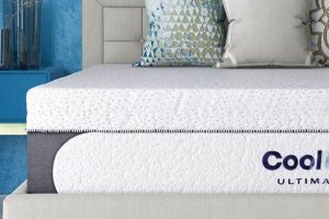 Top-Rated: Best All Foam Mattress for Pain Relief [2024] | Organic & Natural Mattress Buyer’s Guide: Non-Toxic Sleep Solutions