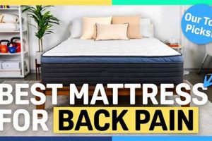 Top-Rated Best Mattress for Back Support: Sleep Better! Organic & Natural Mattress Buyer’s Guide: Non-Toxic Sleep Solutions Top-Rated Best Mattress for Back Support: Sleep Better! | Organic & Natural Mattress Buyer’s Guide: Non-Toxic Sleep Solutions