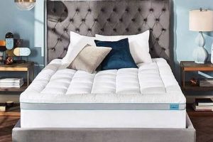 Best Tempur-Pedic Twin XL Topper: Comfort & Support! Organic & Natural Mattress Buyer’s Guide: Non-Toxic Sleep Solutions Best Tempur-Pedic Twin XL Topper: Comfort & Support! | Organic & Natural Mattress Buyer’s Guide: Non-Toxic Sleep Solutions