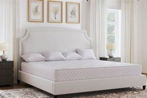 Top Rated Best Wyoming King Mattress [Review] | Organic & Natural Mattress Buyer’s Guide: Non-Toxic Sleep Solutions