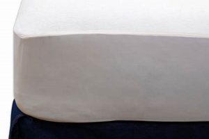 Best Twin XL Mattress Protector Zippered: [Brand] vs [Brand] | Organic & Natural Mattress Buyer’s Guide: Non-Toxic Sleep Solutions