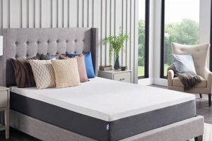 Find Top King Bed & Mattress Deals: Save Big Now! Organic & Natural Mattress Buyer’s Guide: Non-Toxic Sleep Solutions Find Top King Bed & Mattress Deals: Save Big Now! | Organic & Natural Mattress Buyer’s Guide: Non-Toxic Sleep Solutions