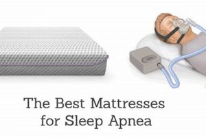 Top-Rated Best Mattress for Snoring Relief: Reviews &amp; Guide | Organic & Natural Mattress Buyer’s Guide: Non-Toxic Sleep Solutions