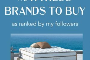 Top Best Mattress Brands of [Year]: Sleep Soundly! | Organic & Natural Mattress Buyer’s Guide: Non-Toxic Sleep Solutions
