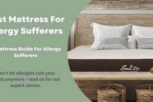 Top-Rated Best Mattress for Allergies Relief Today! | Organic & Natural Mattress Buyer’s Guide: Non-Toxic Sleep Solutions