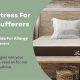 Top-Rated Best Mattress for Allergies Relief Today! | Organic & Natural Mattress Buyer’s Guide: Non-Toxic Sleep Solutions