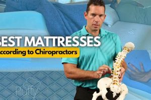 Find The Best Chiropractic Mattress: [Year] Reviews & Guide | Organic & Natural Mattress Buyer’s Guide: Non-Toxic Sleep Solutions