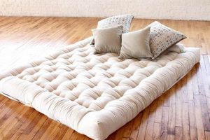 Top Rated Futon Mattress: Find Your Best Futon Bed! | Organic & Natural Mattress Buyer’s Guide: Non-Toxic Sleep Solutions