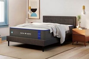 Best Twin XL Mattress 12 Inch: Comfort & Value Organic & Natural Mattress Buyer’s Guide: Non-Toxic Sleep Solutions Best Twin XL Mattress 12 Inch: Comfort & Value | Organic & Natural Mattress Buyer’s Guide: Non-Toxic Sleep Solutions