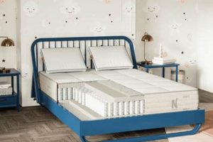 Top-Rated Best Kids Twin Mattress [Guide & Reviews] | Organic & Natural Mattress Buyer’s Guide: Non-Toxic Sleep Solutions