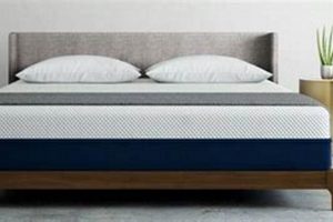 Top-Rated Best Mattress for Bad Back [Pain Relief] | Organic & Natural Mattress Buyer’s Guide: Non-Toxic Sleep Solutions