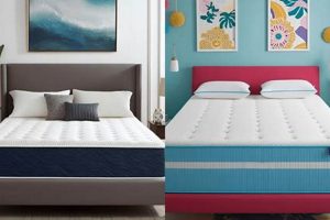 Find the Best Medium Soft Mattress: Ultimate Guide | Organic & Natural Mattress Buyer’s Guide: Non-Toxic Sleep Solutions