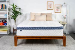 Find The Best Mattress in America: Buyer's Guide Organic & Natural Mattress Buyer’s Guide: Non-Toxic Sleep Solutions Find The Best Mattress in America: Buyer's Guide | Organic & Natural Mattress Buyer’s Guide: Non-Toxic Sleep Solutions