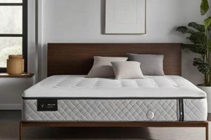 Top Picks: Best Queen Mattress Under $500 (2024 Guide) | Organic & Natural Mattress Buyer’s Guide: Non-Toxic Sleep Solutions
