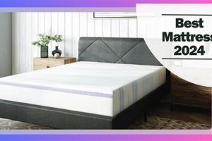Reviews: Best Online Mattress Reddit [2024 Guide] | Organic & Natural Mattress Buyer’s Guide: Non-Toxic Sleep Solutions
