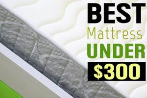 Affordable Sleep: Best Mattress Under $300 Reviewed | Organic & Natural Mattress Buyer’s Guide: Non-Toxic Sleep Solutions