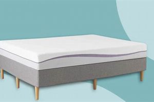Top-Rated: Best Mattress for Cervical Pain Relief [Guide] | Organic & Natural Mattress Buyer’s Guide: Non-Toxic Sleep Solutions