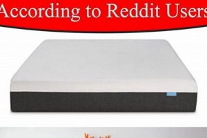 Find the Best Latex Mattress Reddit Recommends! | Organic & Natural Mattress Buyer’s Guide: Non-Toxic Sleep Solutions