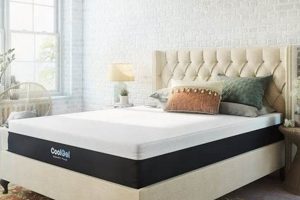 Top-Rated Foam Mattress: Find Your Best Sleep Solution! | Organic & Natural Mattress Buyer’s Guide: Non-Toxic Sleep Solutions
