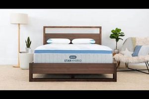 Top Rated: Best Medium-Firm Mattress For Back Pain Relief | Organic & Natural Mattress Buyer’s Guide: Non-Toxic Sleep Solutions