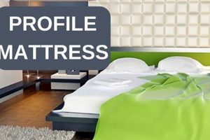 Find Your Best Low Profile Mattress: Comfort & Style Organic & Natural Mattress Buyer’s Guide: Non-Toxic Sleep Solutions Find Your Best Low Profile Mattress: Comfort & Style | Organic & Natural Mattress Buyer’s Guide: Non-Toxic Sleep Solutions