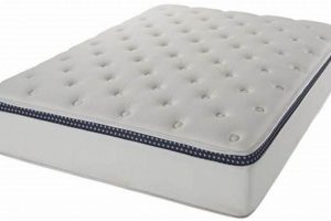 Top-Rated Best Mattress for Arthritis Relief [2024] | Organic & Natural Mattress Buyer’s Guide: Non-Toxic Sleep Solutions
