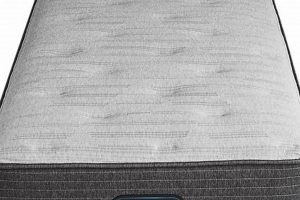 Beautyrest Twin XL Mattress: Long & Luxurious! Organic & Natural Mattress Buyer’s Guide: Non-Toxic Sleep Solutions Beautyrest Twin XL Mattress: Long & Luxurious! | Organic & Natural Mattress Buyer’s Guide: Non-Toxic Sleep Solutions