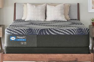 Top Rated! Best Sealy Mattress for Side Sleepers Guide Organic & Natural Mattress Buyer’s Guide: Non-Toxic Sleep Solutions Top Rated! Best Sealy Mattress for Side Sleepers Guide | Organic & Natural Mattress Buyer’s Guide: Non-Toxic Sleep Solutions