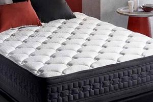 Top-Rated: Best Guest Room Mattress [2024 Guide] | Organic & Natural Mattress Buyer’s Guide: Non-Toxic Sleep Solutions