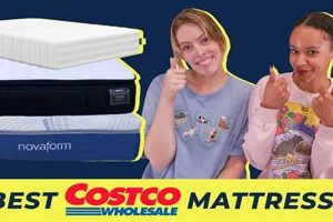 Top-Rated Best Costco Mattress Reddit Finds Reviews | Organic & Natural Mattress Buyer’s Guide: Non-Toxic Sleep Solutions