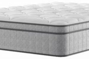 Top Sealy Mattress for Heavy Person [2024] | Organic & Natural Mattress Buyer’s Guide: Non-Toxic Sleep Solutions