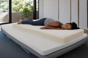 Top-Rated Best Mattress for Stomach & Side Sleepers Guide! | Organic & Natural Mattress Buyer’s Guide: Non-Toxic Sleep Solutions