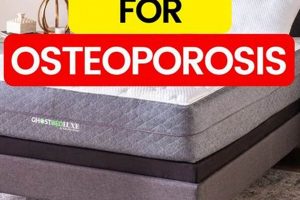 Top-Rated Best Mattress for Osteoporosis Relief & Sleep | Organic & Natural Mattress Buyer’s Guide: Non-Toxic Sleep Solutions