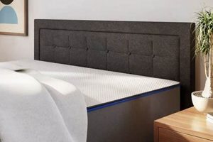 Top-Rated Best Mattress for Back Sleepers Guide Organic & Natural Mattress Buyer’s Guide: Non-Toxic Sleep Solutions Top-Rated Best Mattress for Back Sleepers Guide | Organic & Natural Mattress Buyer’s Guide: Non-Toxic Sleep Solutions