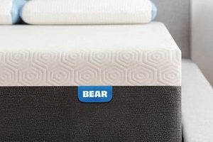 Relief & Rest: Best Mattress for RA [2024 Guide] | Organic & Natural Mattress Buyer’s Guide: Non-Toxic Sleep Solutions