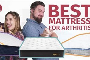 Top Rated: Best Mattress for Arthritis & Fibromyalgia Relief | Organic & Natural Mattress Buyer’s Guide: Non-Toxic Sleep Solutions
