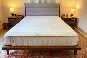 Top-Rated: Best Mattress for Back Pain Relief Guide Organic & Natural Mattress Buyer’s Guide: Non-Toxic Sleep Solutions Top-Rated: Best Mattress for Back Pain Relief Guide | Organic & Natural Mattress Buyer’s Guide: Non-Toxic Sleep Solutions