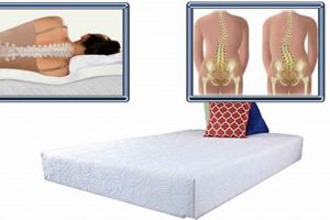 Top-Rated Best Mattress for Scoliosis: Sleep Soundly Now! | Organic & Natural Mattress Buyer’s Guide: Non-Toxic Sleep Solutions