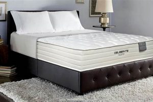 Top-Rated Best King Size Mattress for Ultimate Sleep! | Organic & Natural Mattress Buyer’s Guide: Non-Toxic Sleep Solutions