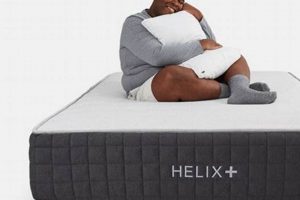 Buying Guide: Best Mattress for Fat People (2024) Organic & Natural Mattress Buyer’s Guide: Non-Toxic Sleep Solutions Buying Guide: Best Mattress for Fat People (2024) | Organic & Natural Mattress Buyer’s Guide: Non-Toxic Sleep Solutions
