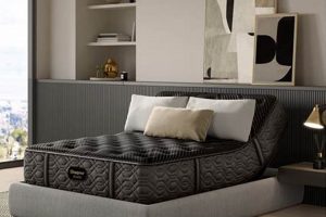 Top Spots: Best Place to Buy Twin Mattress [Guide] | Organic & Natural Mattress Buyer’s Guide: Non-Toxic Sleep Solutions