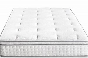XL Comfort: Zinus Twin XL Mattress - Affordable Sleep! Organic & Natural Mattress Buyer’s Guide: Non-Toxic Sleep Solutions XL Comfort: Zinus Twin XL Mattress - Affordable Sleep! | Organic & Natural Mattress Buyer’s Guide: Non-Toxic Sleep Solutions