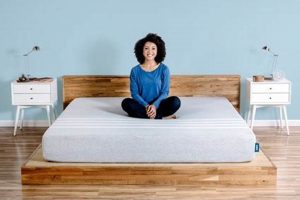 Top Best Affordable Mattress Companies of [Year] Reviewed | Organic & Natural Mattress Buyer’s Guide: Non-Toxic Sleep Solutions