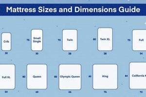 Best King Futon Mattress [Guide] - Cozy Sleep! | Organic & Natural Mattress Buyer’s Guide: Non-Toxic Sleep Solutions