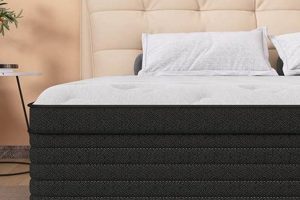 The Ultimate 14 Inch Mattress King Guide & Review Safem Fabrication - Precision Engineering & Custom Manufacturing Solutions The Ultimate 14 Inch Mattress King Guide & Review | Safem Fabrication - Precision Engineering & Custom Manufacturing Solutions